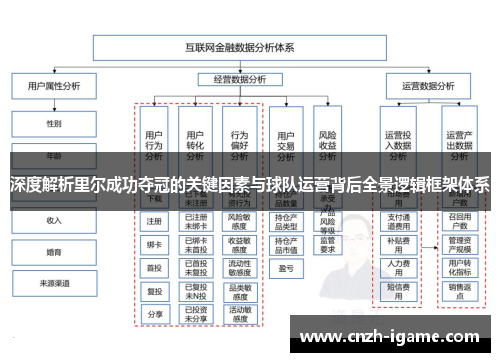 深度解析里尔成功夺冠的关键因素与球队运营背后全景逻辑框架体系