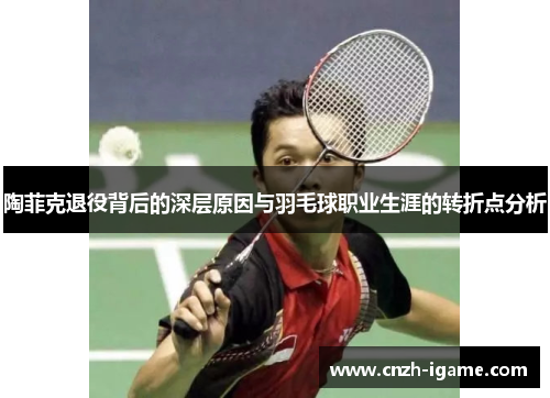 陶菲克退役背后的深层原因与羽毛球职业生涯的转折点分析