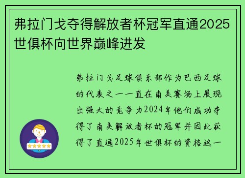 弗拉门戈夺得解放者杯冠军直通2025世俱杯向世界巅峰进发 弗拉门戈夺得解放者杯冠军直通2025世俱杯向世界巅峰进发